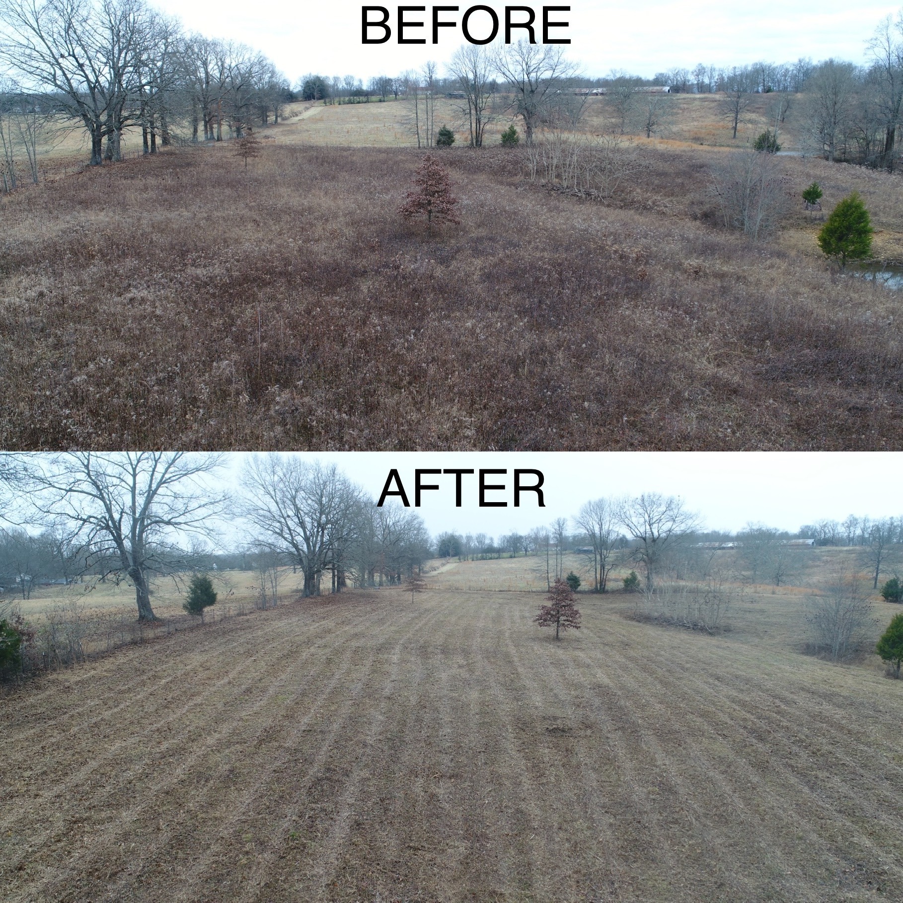 Land Clearing Services and Stormwater BMP Nashville TN