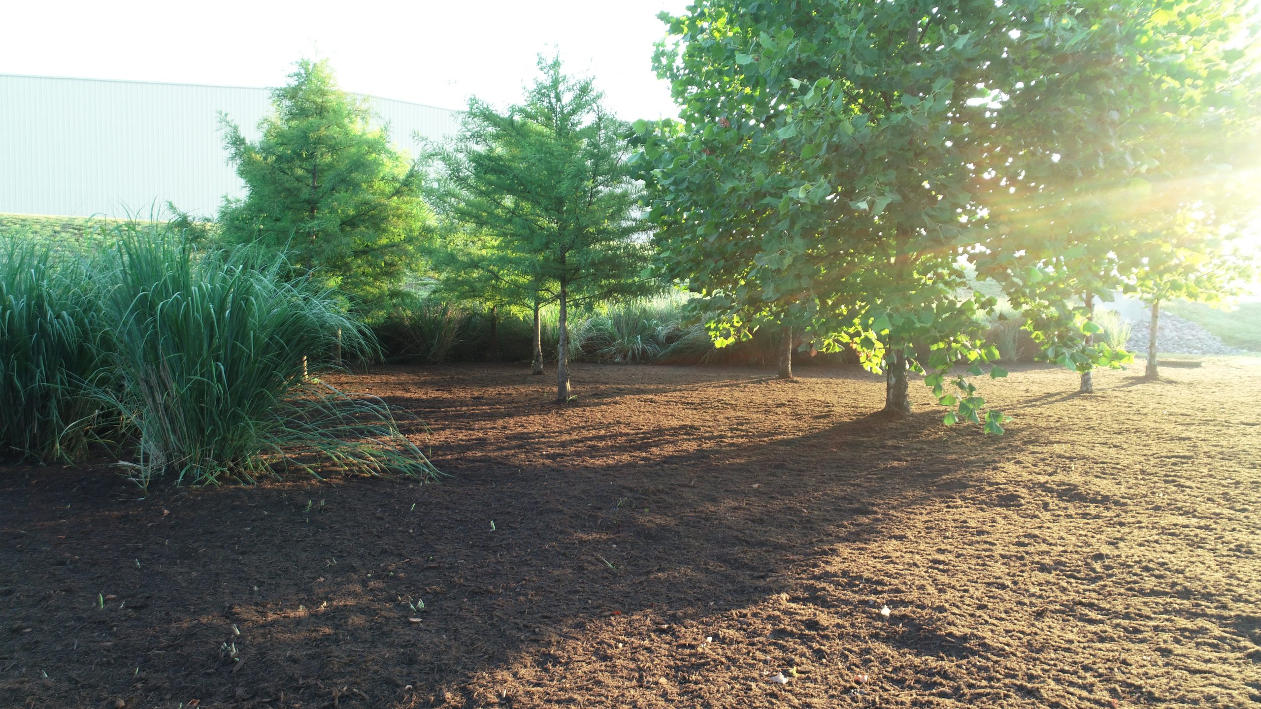 Land Clearing Services, Stormwater BMP and Bioretention Systems in Nashville TN