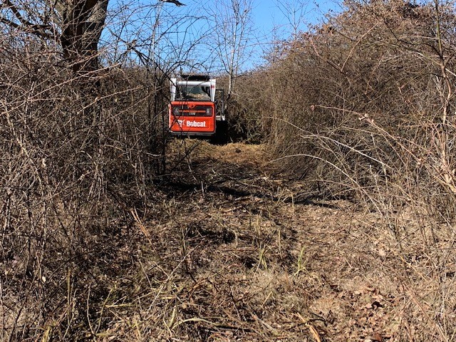 Land Clearing Services with NorthStar in Nashville TN