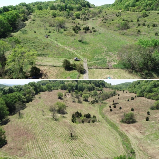 Land Clearing Services and Stormwater BMP Nashville TN